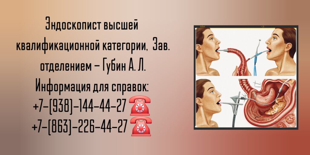 Гастроскопия в Ростове-на-Дону- Губин А.Л.