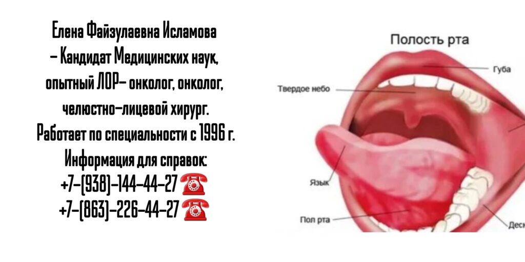 Исламова Елена Файзулаевна- ЛОР- онколог - челюстно-лицевой хирург в Ростове-на-Дону 