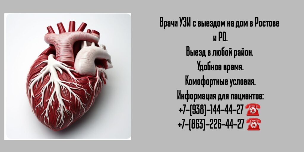 Ультразвуковое исследование с выездом на дом в Ростове-на-Дону 