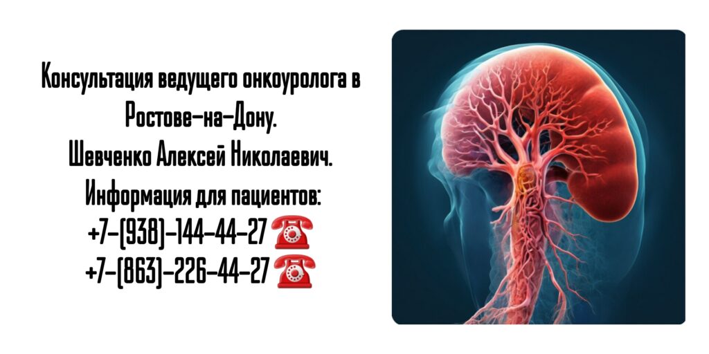 Онкоуролог в Ростове-на-Дону- Шевченко Алексей Николаевич 