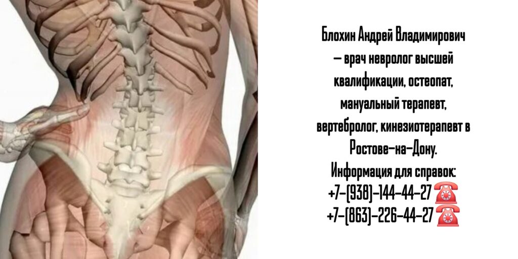 Блохин Андрей Владимирович- Ростов остеопат