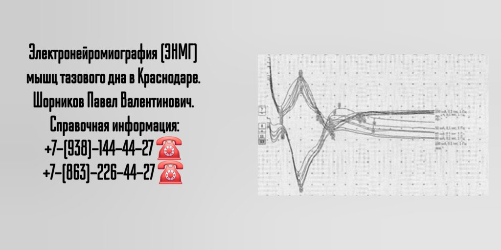 ЭНМГ мышц тазового дна в Краснодаре - Шорников Павел Валентинович 
