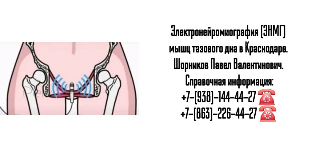 ЭНМГ мышц тазового дна в Краснодаре - Шорников Павел Валентинович 