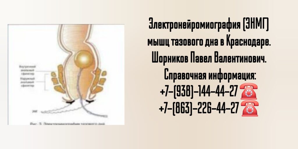ЭНМГ мышц тазового дна в Краснодаре - Шорников Павел Валентинович 