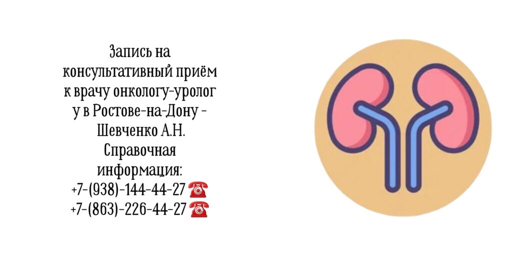 Врач онколог-уролог в Ростове-на-Дону - Шевченко Алексей Николаевич 