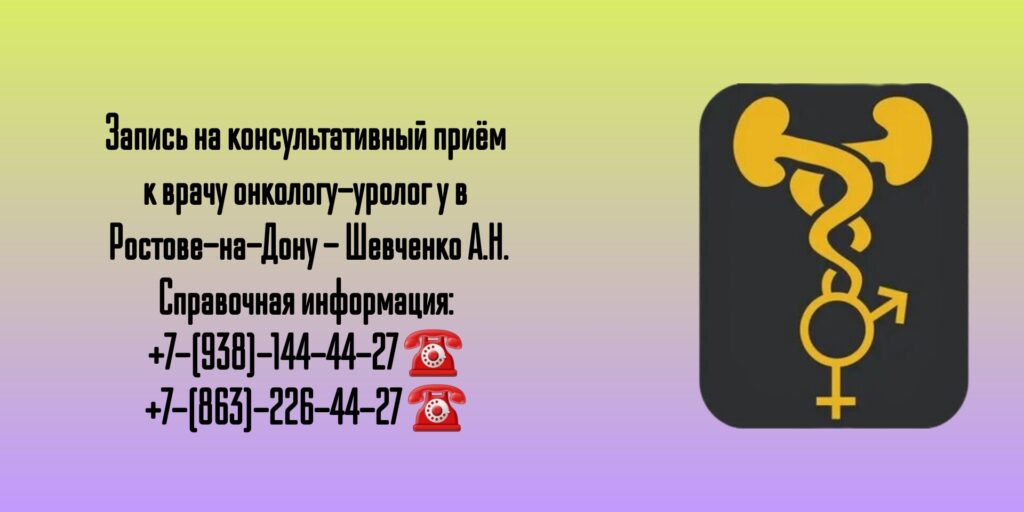 Врач онколог-уролог в Ростове-на-Дону - Шевченко Алексей Николаевич 