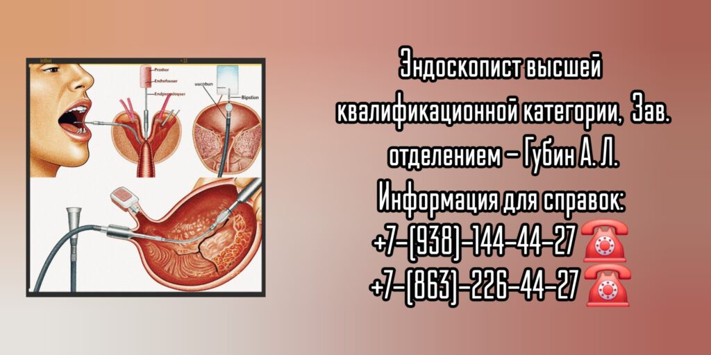 Гастроскопия в Ростове-на-Дону- Губин А.Л.