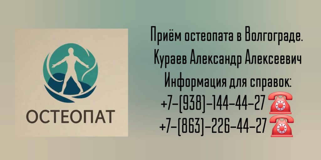 Кураев Александр Алексеевич - Волгоград остеопат