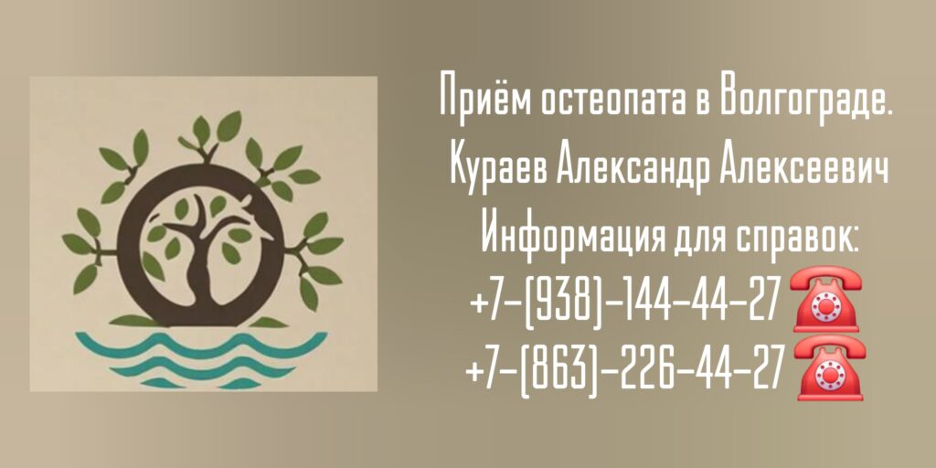 Кураев Александр Алексеевич - Волгоград остеопат